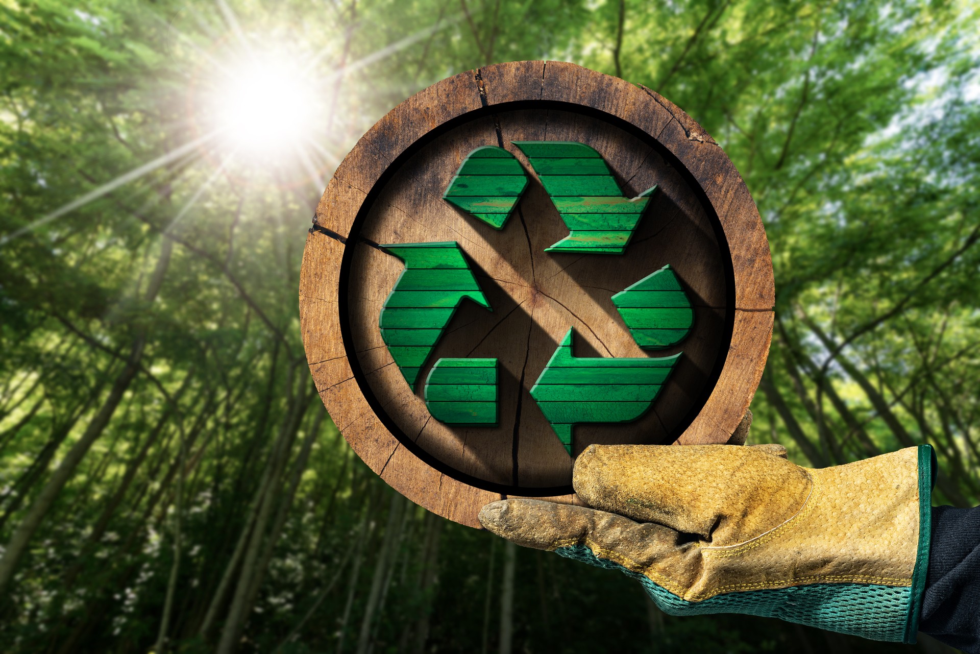 Gloved Hand Showing a Recycle Symbol Made of Wood - Sustainable Resources